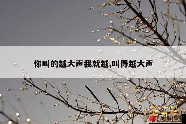 你叫的越大声我就越兴奋是什么：激情狂欢