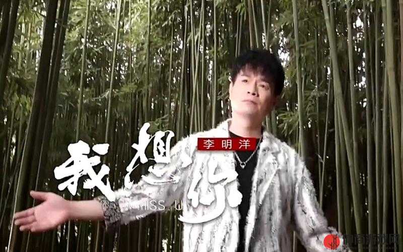 我想你高清 MV 观看视频：精彩不容错过