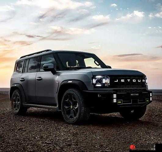 国产又大又便宜的 SUV：这些车型值得一看