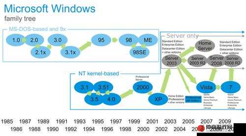 日本 Windows Server 技术应用与发展