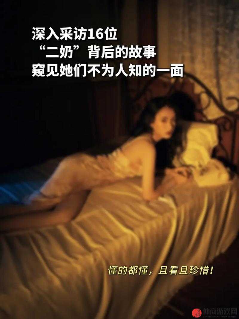 肥婆老 BBB 肥婆 BBBBB- 一段不为人知的故事