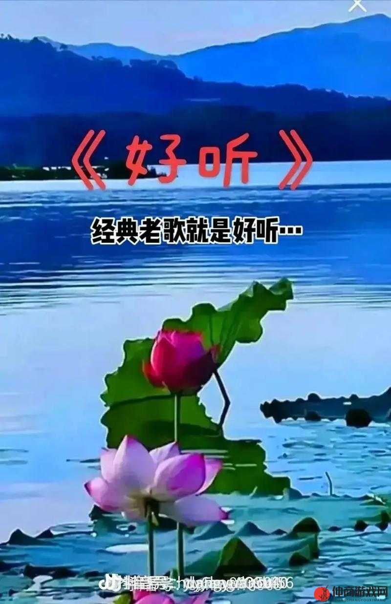 轻松享受两种美好时光：生活与自然