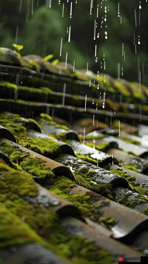 填得很满是什么感觉春雨回答：满满的幸福与滋润