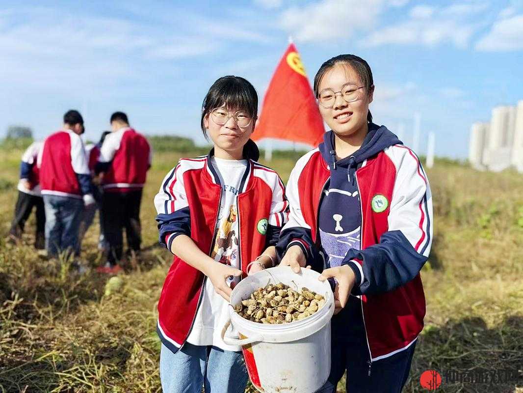 龙椅上玩皇后心得体会：别样体验与感悟