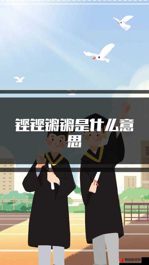 让我们一起感受铿锵锵锵锵锵锵锵锵的魅力