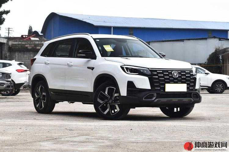 国产 SUV 精品一区二区：品质之选畅享驾乘乐趣