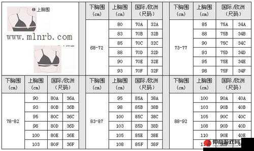 亚洲无人区码一码二码三码的区别：特点解析