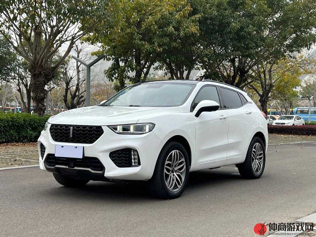 weyvv5 国产的 suv：一款优秀的车型