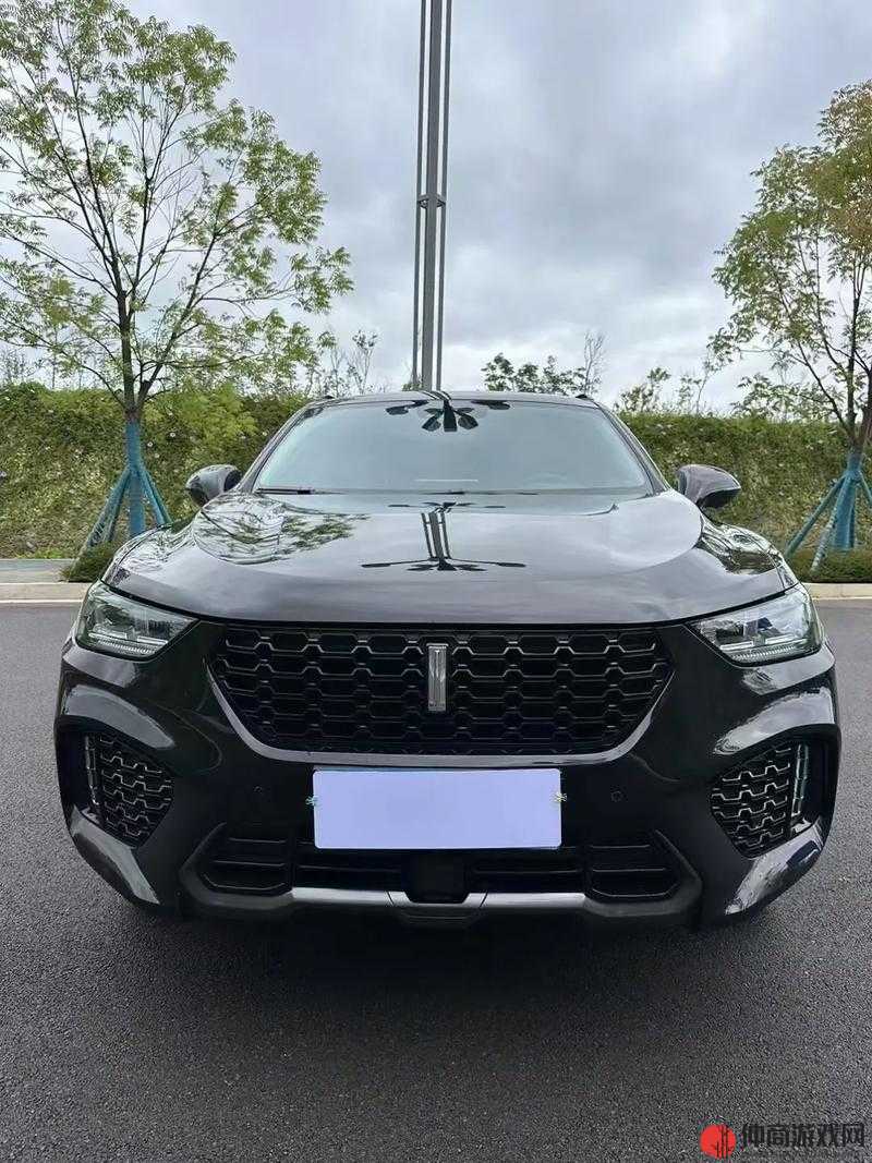 weyvv5 国产 suv 性能评测