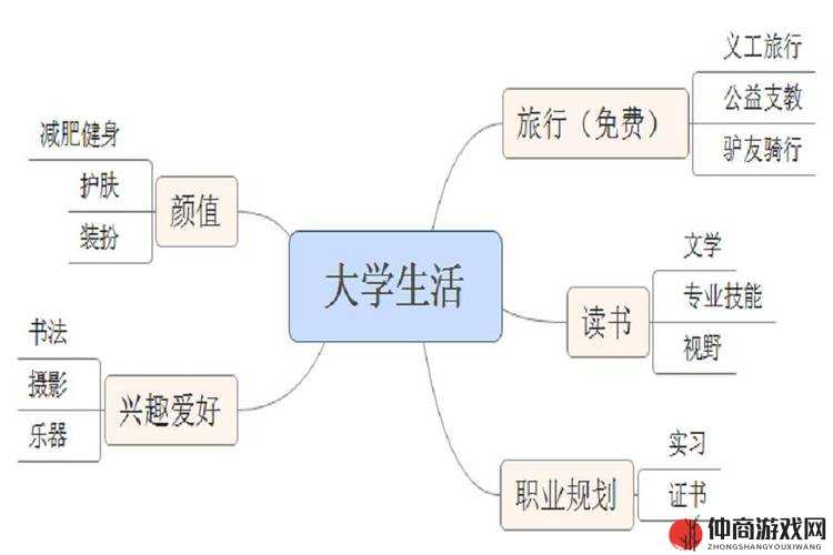 大学生活指北：学习、社交、成长全攻略