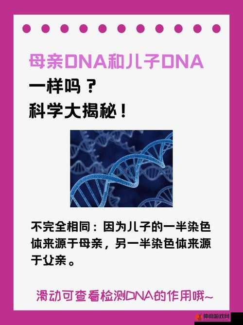 母亲和儿子 dna 一样吗：二者关系解析