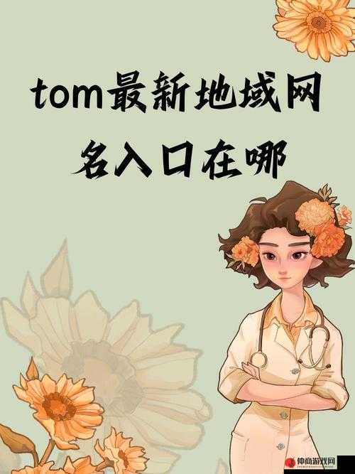 Tom 永久地域网名入口在哪里：探寻其位置