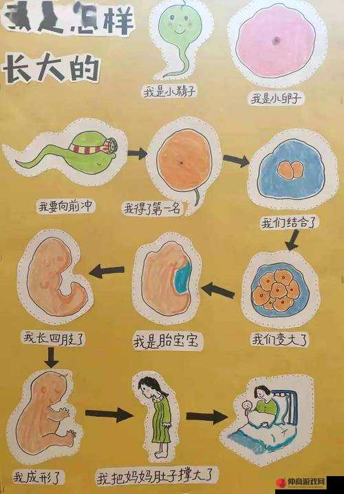 暴走小飞机成长之路：探索最佳技能选择与升级策略的力量奥秘