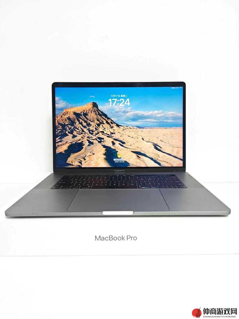 19 岁 MacBook Pro 欧美市场发展历程概述