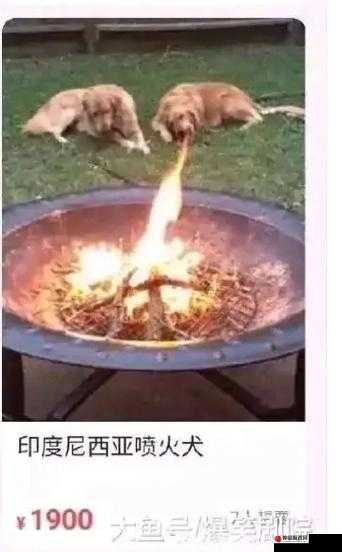 整点阳间的东西是什么梗：含义及来源解析