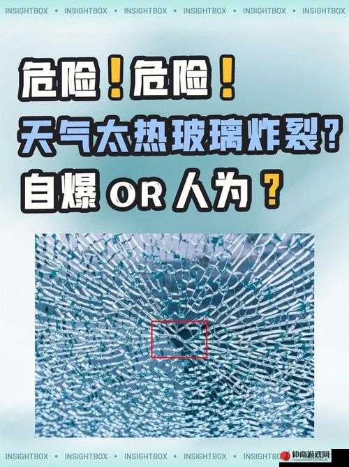 9 分 42 秒头撞玻璃事件详情