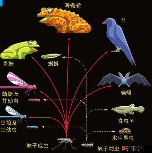 古代人生医馆暗门事件探秘 进入其中究竟会带来何种严重后果