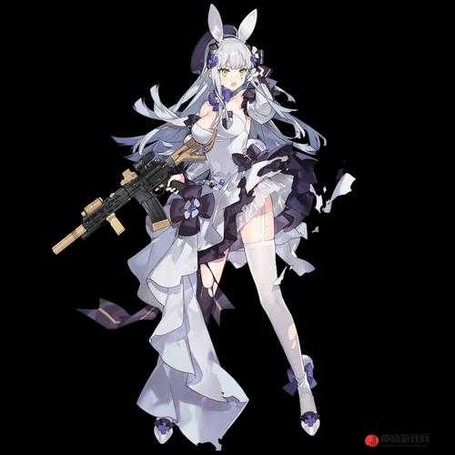 少女前线 hk416 专属装备详细介绍及其在游戏中的重要性分析