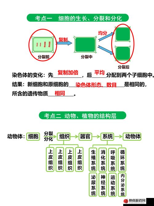 6900 理论：关于 6900 的深入探讨