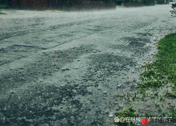 外勤中突然下雨麻妃：雨中的意外与挑战