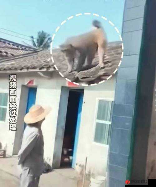 二人生猴子全程不盖被子黄：探索未知的激情之旅