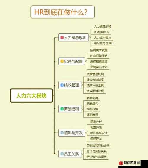 关于 HR 的图片：人力资源管理的关键角色