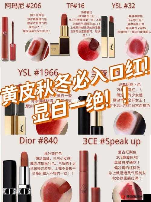 YSL 千人千色 T9 功能全方位深度解析