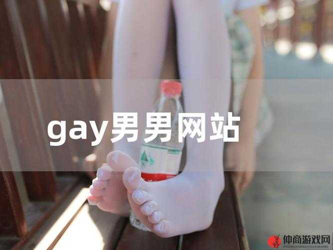 关于 Chinese gay xxx Asian 的相关探讨与分析