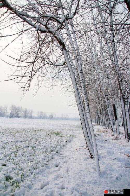 小雪在那轻声呼喊着揉我奶头啊嗯的私密场景