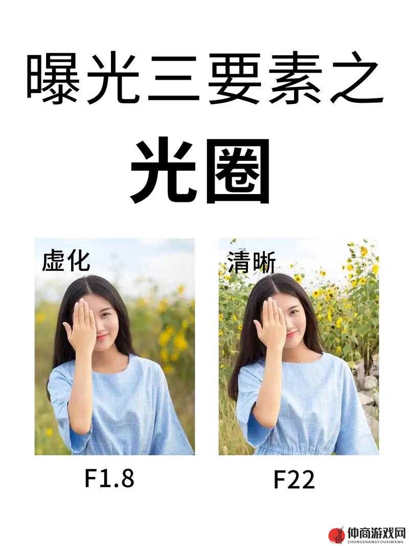 关于光圈大小的区别：你需要知道的一切