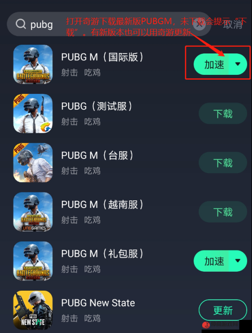 PUBG 官方正版下载入口最新版本：畅玩吃鸡的必备之选