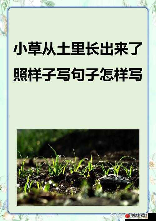 我成功挺进班花那滋润花苞的奇妙经历