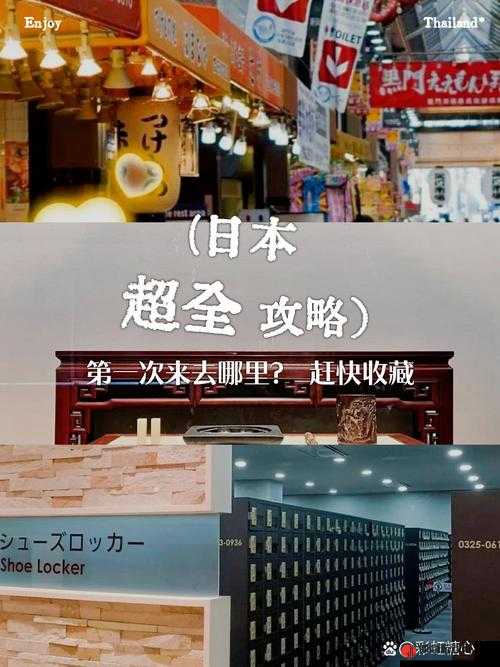 日本最大但人文艺术欣赏的背景：深度探索其独特魅力与价值