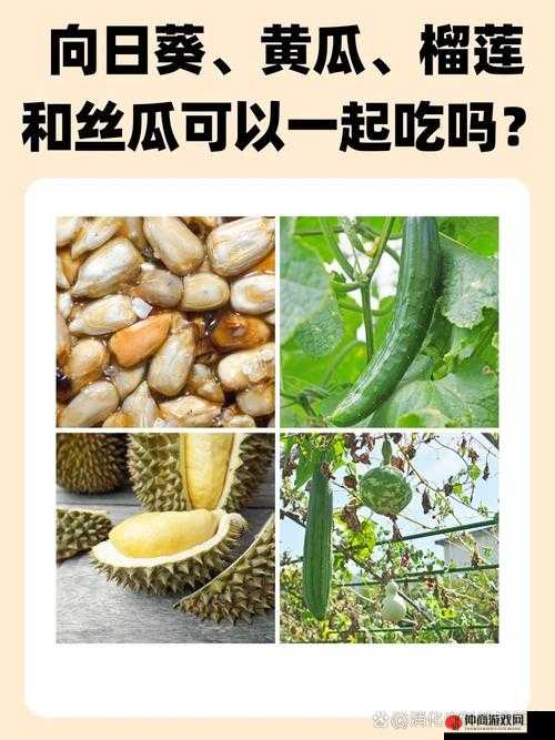 秋葵茄子丝瓜香瓜榴莲大全之美味食材大赏