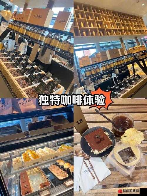 丰裕纵满 2688：一款带来独特体验的产品