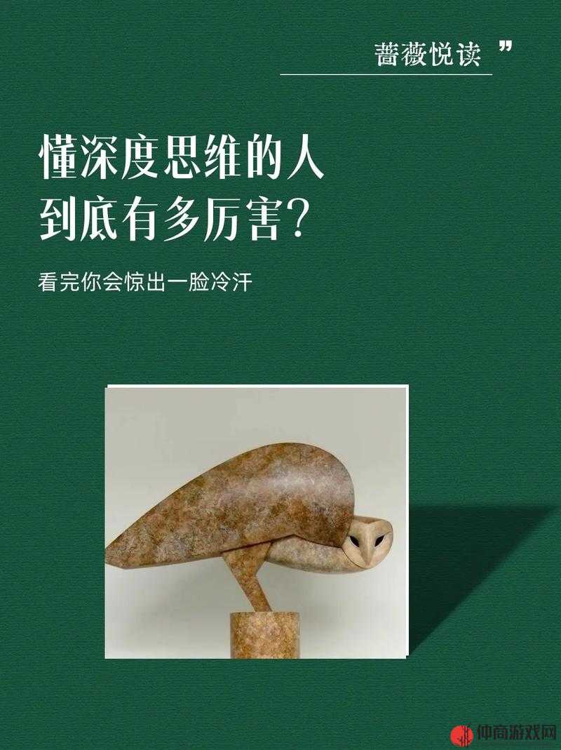 精品人与精品人的差异探究：从行为模式到思维方式的深度剖析