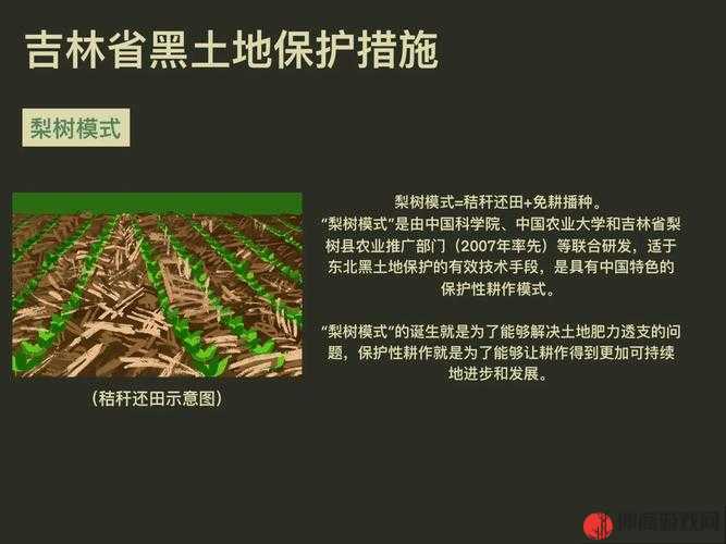 开垦母亲肥沃的土地教案：关于土地利用与情感的深度探讨