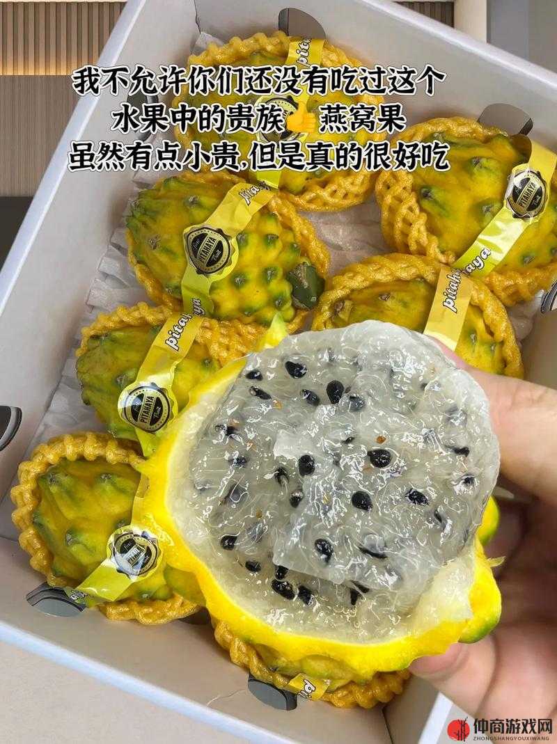 水果与谷物的奇妙碰撞：香蕉黄瓜丝瓜水蜜桃豆奶的丰富口感