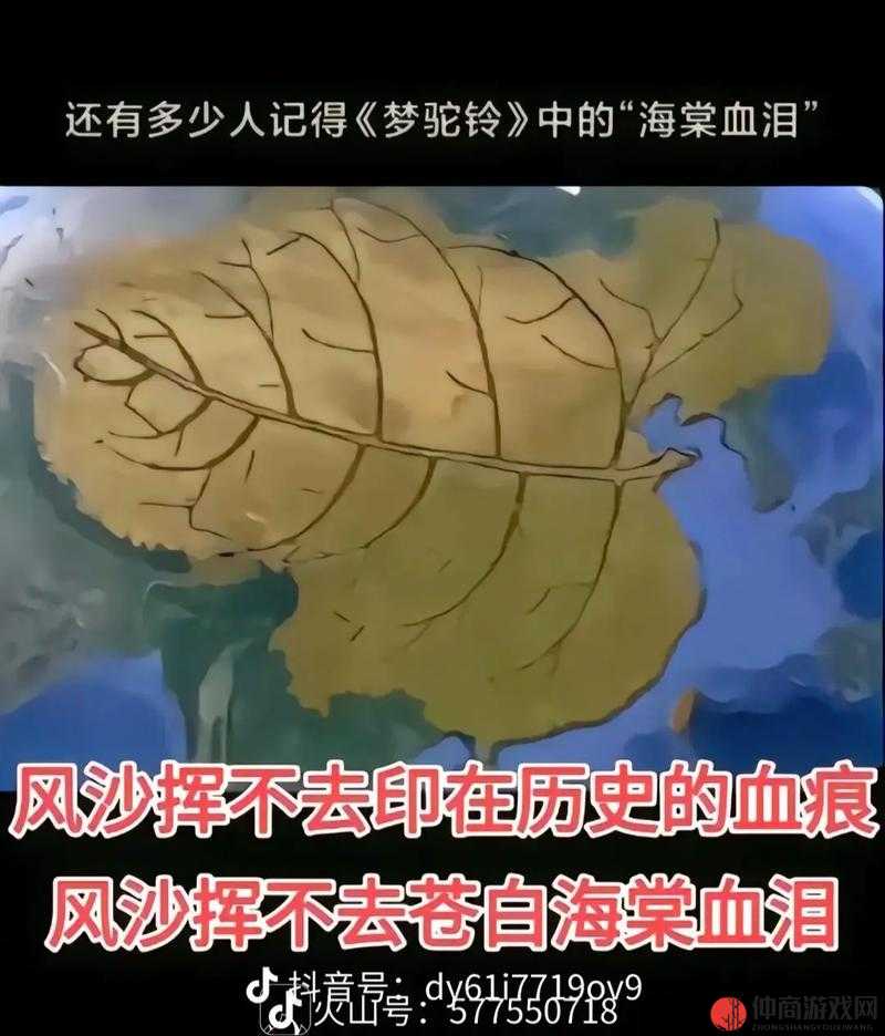 黑土地上的眼泪：一个令人心疼的故事