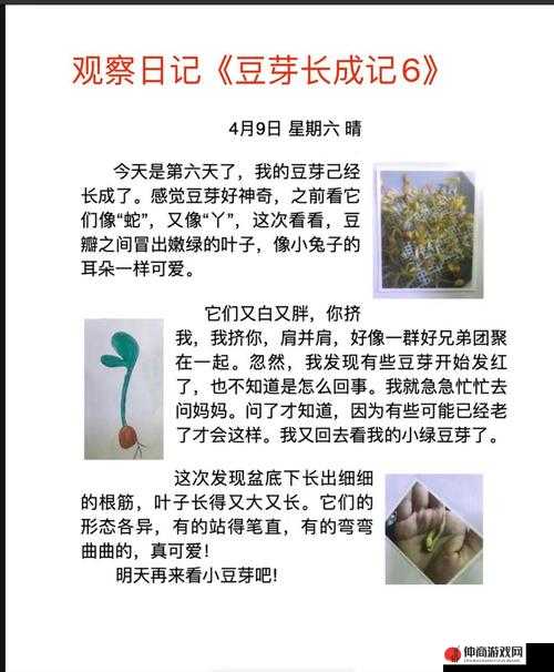 那颗小豆豆的成长历程与难忘故事