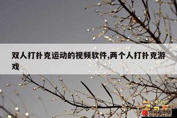 运动视频扑克，免费无限畅享