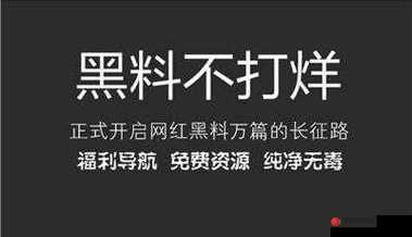 黑料传送门 tttzzz07du：一个引人关注的神秘入口