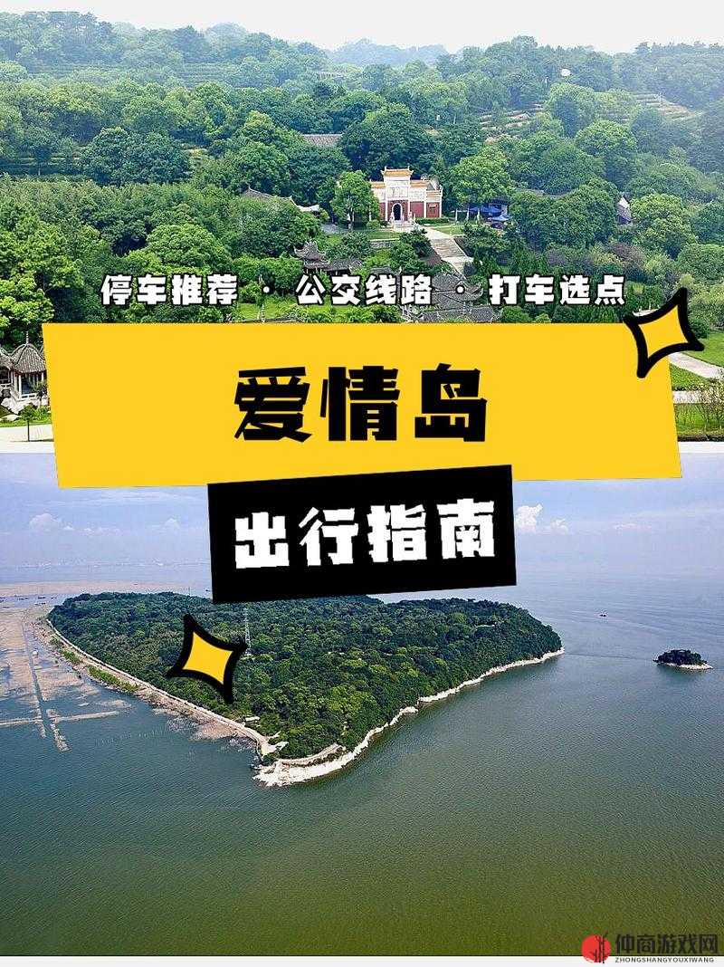 爱情岛官方论坛：探索浪漫与情感的交流平台