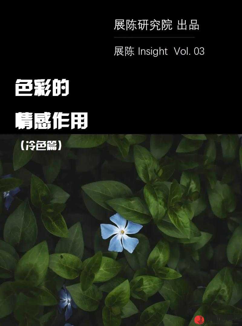 亚洲色尼玛综合：探索亚洲文化中的色彩与情感