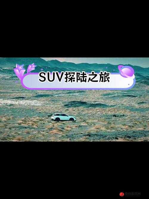 国产无人区码 SUV：探索脆弱背后的神秘与挑战