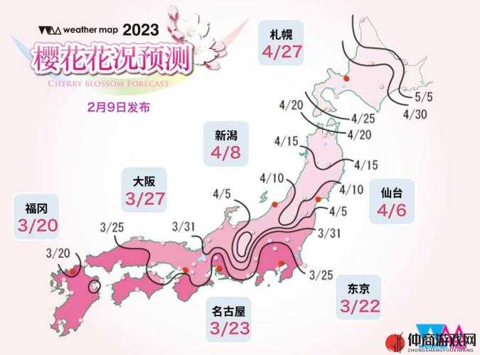 2023 年樱花官网官方入门网站：探索美丽与魅力的起点