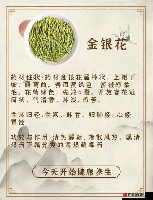 父承子液金银花：传承经典的神奇草本植物之魅力