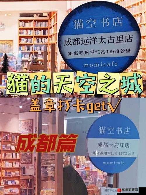 猫之城游戏策略，深度解析以退为进技巧的具体获得与实施方法