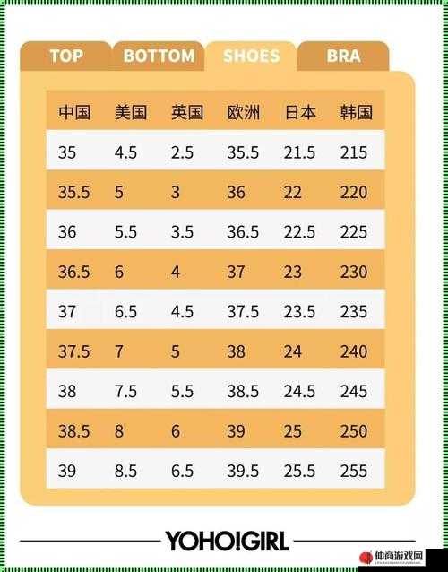 亚洲尺码与欧洲尺码对照工具箱：实用工具，助你轻松选码