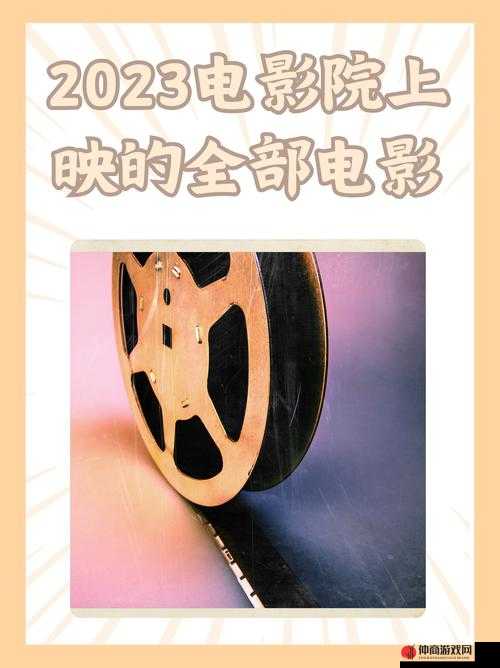 1240 基地看电影：一场精彩纷呈的视听盛宴等你来